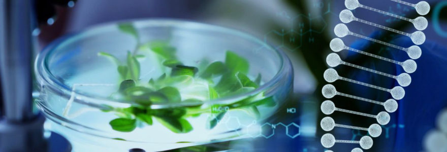certification des produits biosourcés